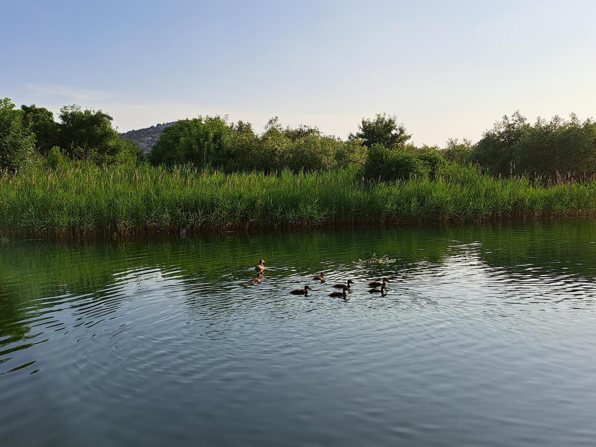 Apartmani Mostina Near River Ploce  Εξωτερικό φωτογραφία